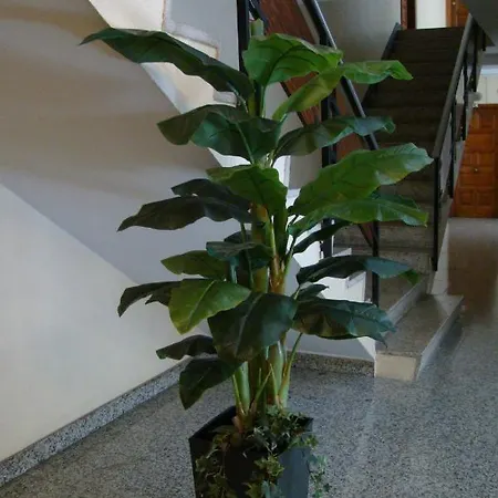 Appartement Centro Pontevedra
